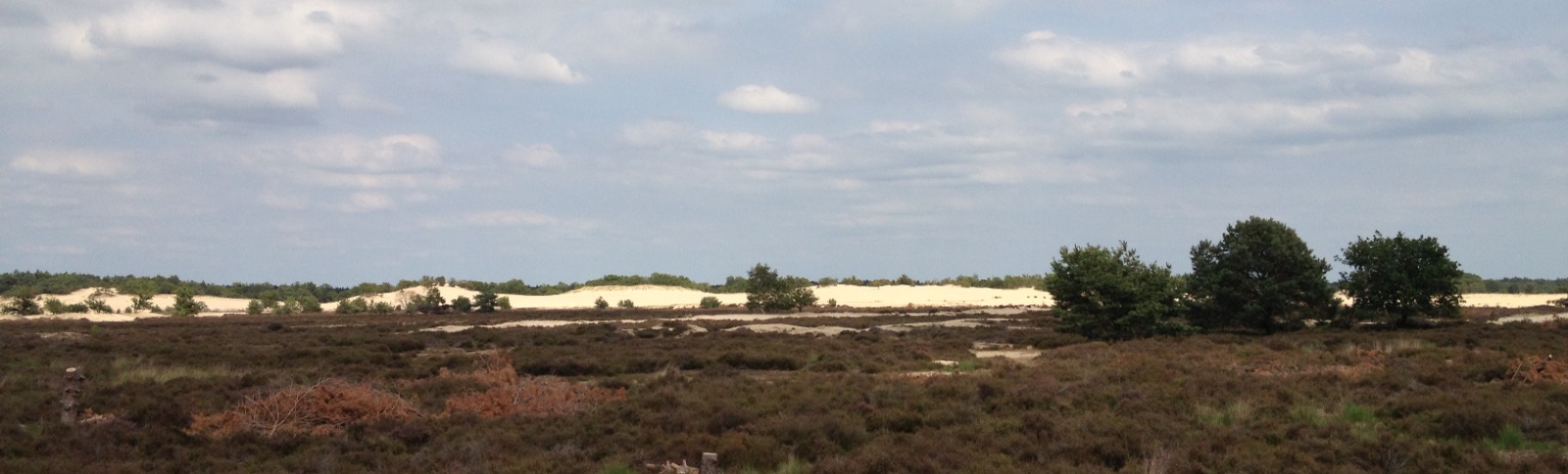 Loonse en Drunense Duinen